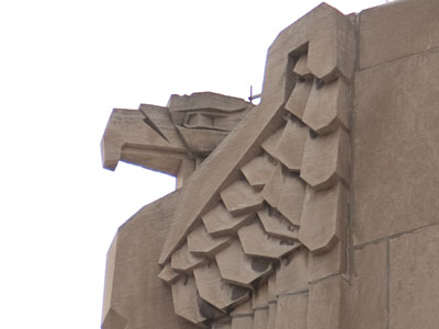 The other birds downtown looked on in sympathy.