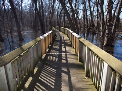 Off into the swamp I go.