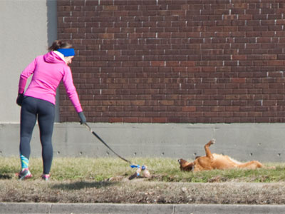 `No more run.  Rest now.`