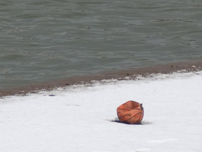 Life is full of mysteries.