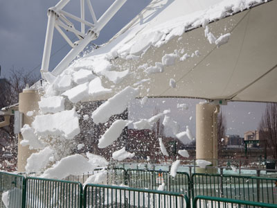 I stood there in the sun and waited for this to happen.