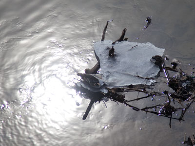 The year 2015 was the warmest ever measured since record-keeping began in 1880.