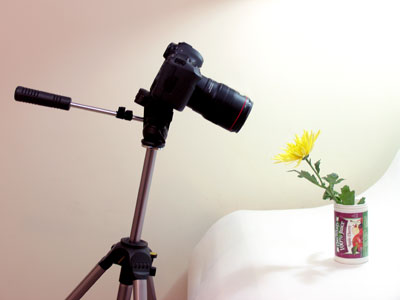 All the really cool kids have a legit macro lens, so they can get closeup pictures of flowers, bugs and other small stuff.