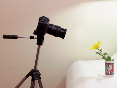 But a lame-o normal lens has a longer minimum focusing distance.  It can`t get as close and has less magnification.