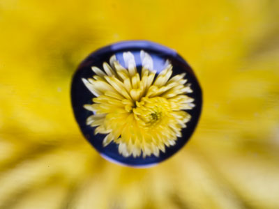 It gives you a preview of what the picture will look like.