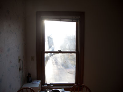 My view of the outside world today:  kitchen window 1.