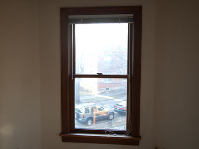 My view of the outside world today:  living room window 1.