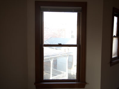 My view of the outside world today:  living room window 2.