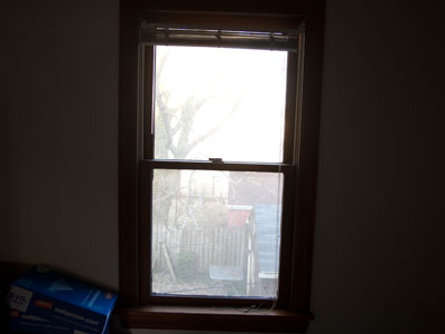 My view of the outside world today:  bedroom window.