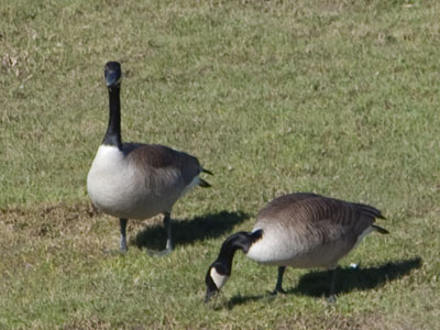 Shouldn`t you two be heading north soon?