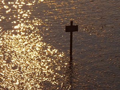 If you can read this, you`re all wet.