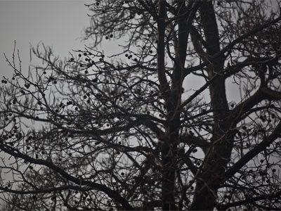 Meanwhile, remnants of winter still linger.