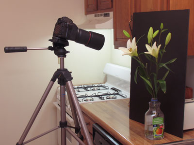 Remembering Sandy Kinnamon.