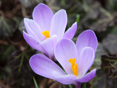 And then it started to rain.