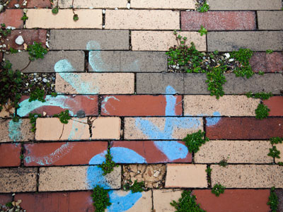 At this point, it REALLY started to rain -- but these were my first daffodils of the season, so I had to take a photo.