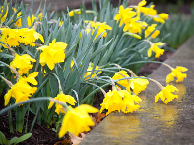 It`s nEsting season.