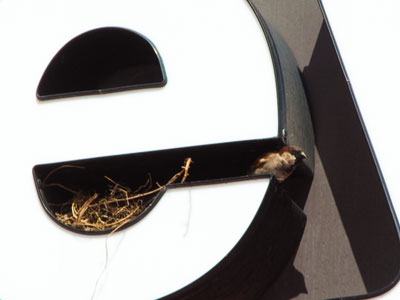 Sometimes it`s difficult to bounce back (see March 14 above).