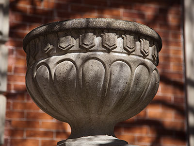 Happy St. Patrick`s Day!