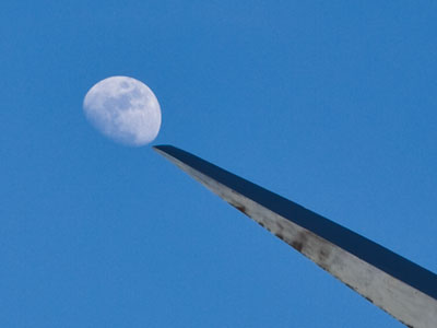 In Yellow Springs, even the trees wear beads.