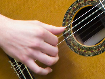 House finch in a hurry.