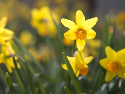 Where will the path of life lead me?