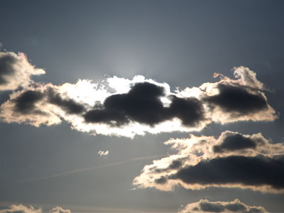 The first victim of springtime.