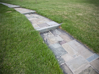 Twelve years of taking photos and this is my first bat.