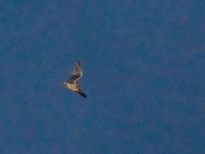 It was another rainy day inside the parking garage (see March 15 above).