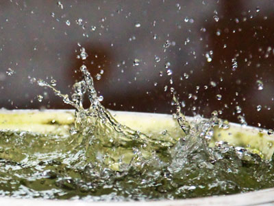 One way or another, this will end today.