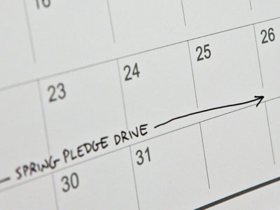 Your daily daffodil.