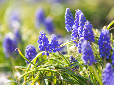 A moment later, the fish jumped out of the water and tried to catch the dragonfly, but it flew away just in time.