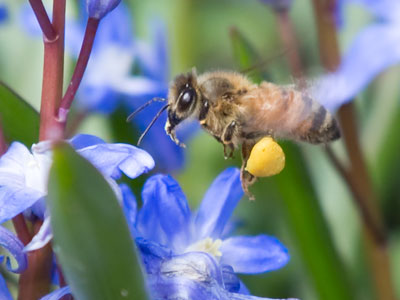 It was too cold to kneel down for this shot.