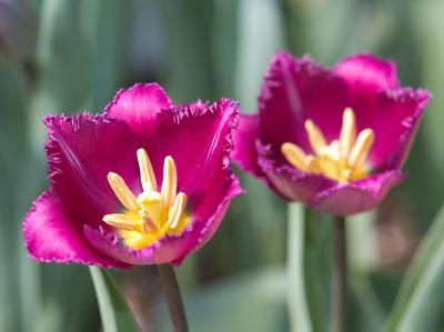 This gives me the chills.