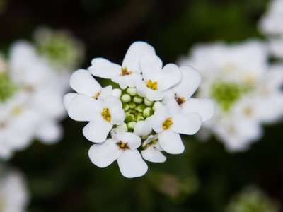 The Schuster Center, from an oblique angle.