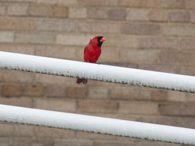 So that`s why I feel like sneezing right now.