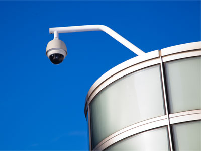 Enjoying a sunny afternoon.