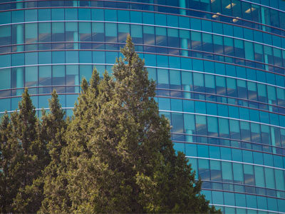 I managed not to get rained on (see March 14 above).