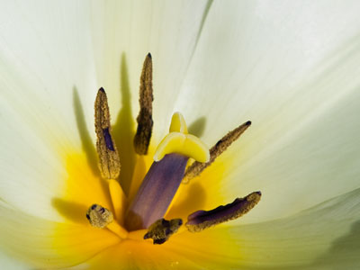 Playground geometry.