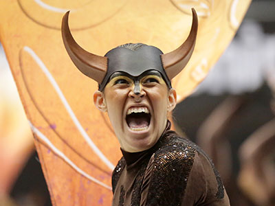 My personal favorite show was about a bunch of bulls (each one with a nose ring) . . . 