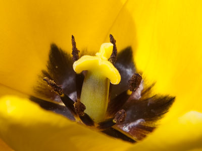 I saw someone mowing grass, so I started running in the opposite direction.  My nose is still running.