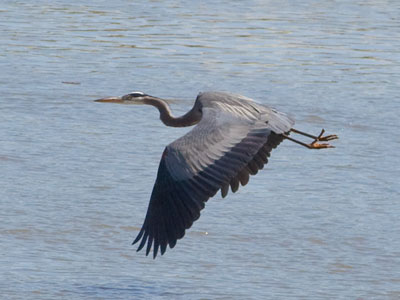 Dayton is the home of aviation, after all.
