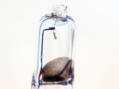 Halogen bulbs are just as useless as incandescent.