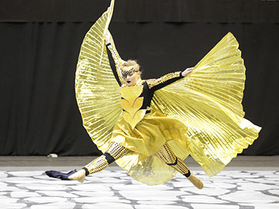 I told you my butterfly pictures would get better (see April 12 above).