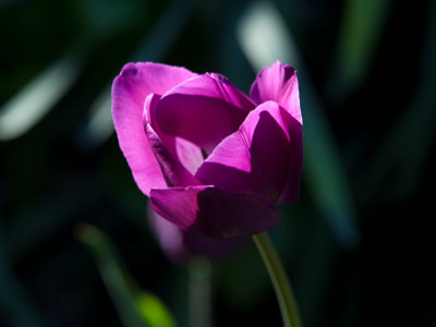 Unusual for me, but this one is all about light and dark.