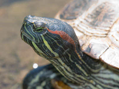 My new profile picture.