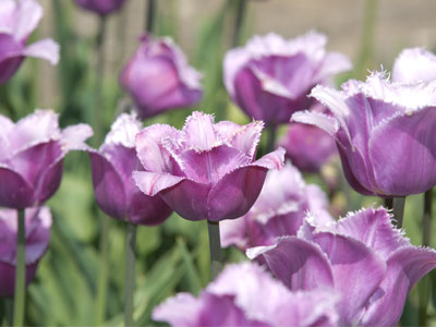 It was another perfect day.