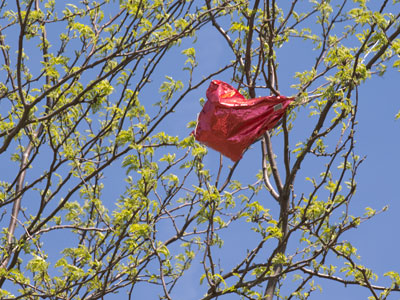 A violation of the natural order.