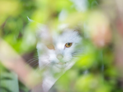 Beware of hidden threats.