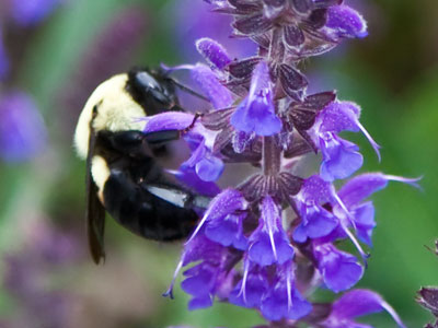 My life is easy by comparison.