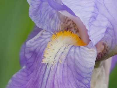 I`d say today`s photos have a lot of variety.